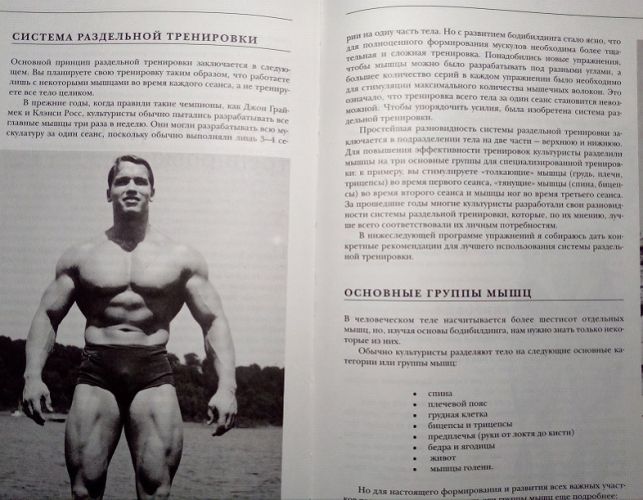 Принципы питания арнольда шварценеггера