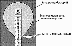 Как определяют чувствительность бактерий к антибиотикам