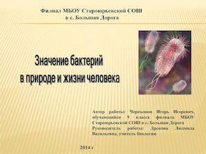 Кратко о биологии: свойства растений, бактерий, грибов и лишайников