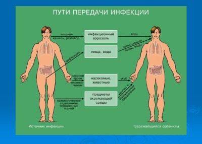 Воздействие микробов на пищевые продукты