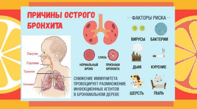 Бронхообструктивный синдром: причины, признаки, диагностика, помощь, лечение