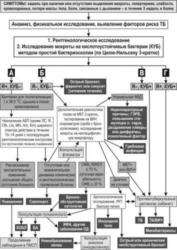 Принцип действия и техника проведения пробы манту