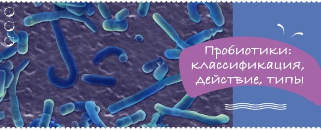 Пробиотики: модный миф или ключ к здоровью? пробиотики и пребиотики для восстановления микрофлоры кишечника