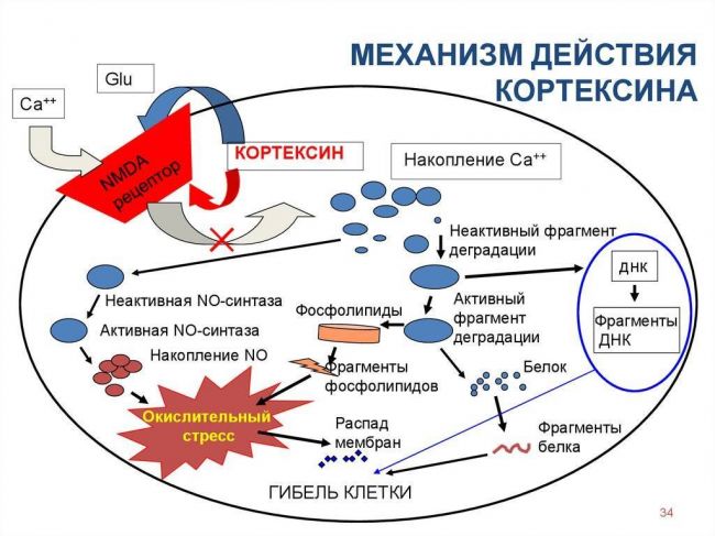 Мексидол таб инструкция по применению цена отзывы аналоги