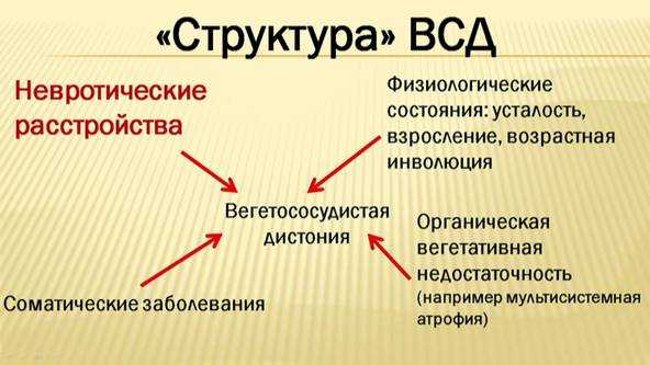 Лечение вегетососудистой дистонии народными средствами