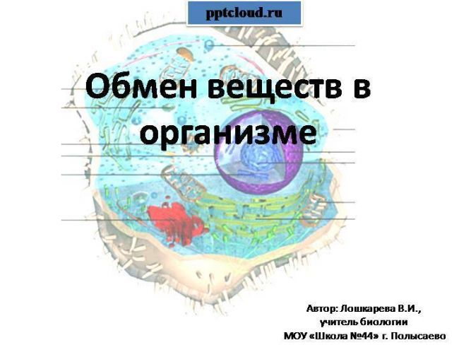 Основные аспекты теории эволюции микроорганизмов