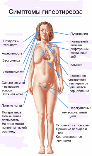 Специфика и лечение субклинического гипотиреоза