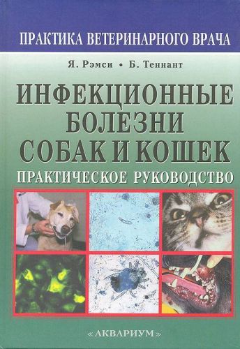 Инфекционные болезни кошек