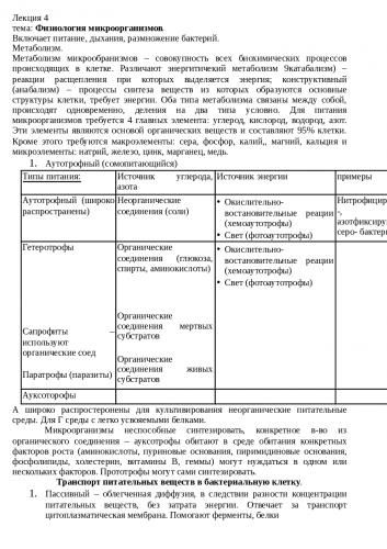 Фазы жизни и роста бактерий