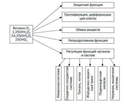 Протекта , Таблетки шипучие