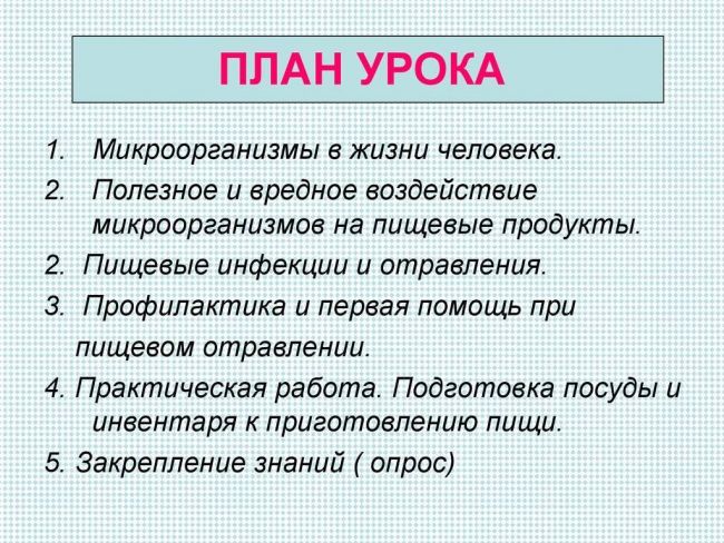 Полезные бактерии для человека, названия полезных бактерий – список. микрофлора кишечника, влагалища, во рту