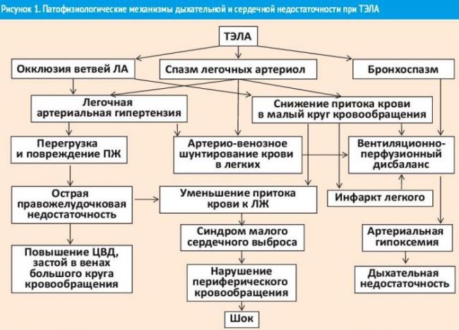 Что такое тромб, причины появления и как избежать появления тромба