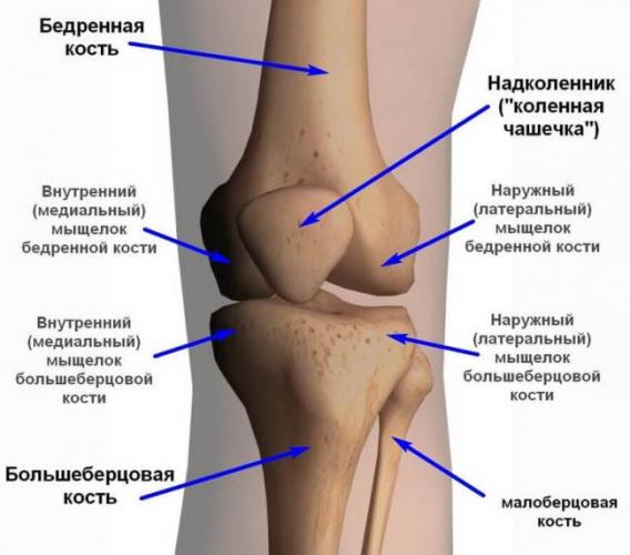 Синовит: симптомы и лечение синовита коленного сустава, тазобедренного сустава