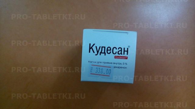 Кудесан q10