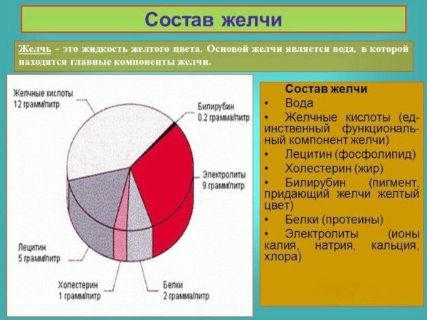 Дискинезия желчного пузыря. причины, симптомы, диагностика и лечение болезни