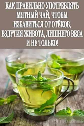 Обзор полезных рецептов для похудения на основе мяты