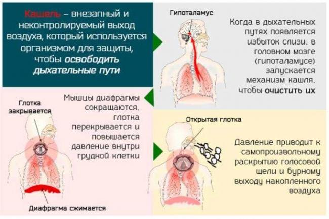 Что такое остаточный кашель, его диагностика и методы лечения