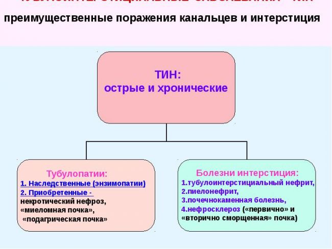 Нефросклероз (сморщенная почка): нефросклероз (сморщенная почка)
