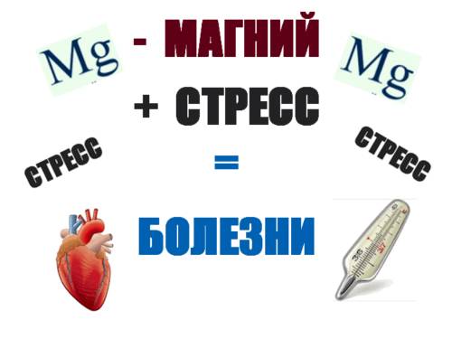Нехватка магния в организме. симптомы у женщин и мужчин