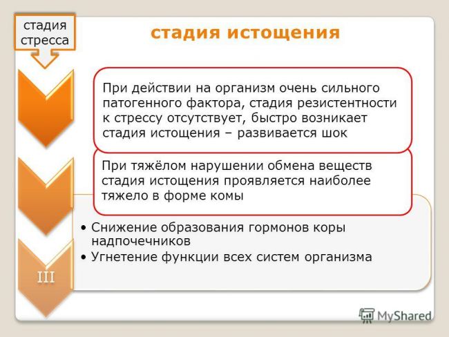 Надпочечники, корковое вещество. гормоны корковой зоны надпочечников - физиология с основами анатомии