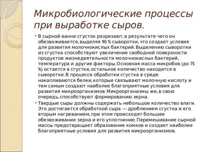 Польза и вред бактерий для человеческого организма