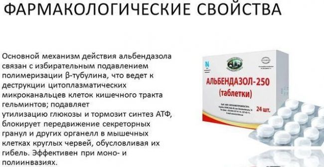 Альбендазол от глистов: инструкция по применению