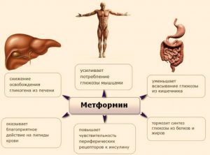 Как принимать метформин для похудения при сахарном диабете