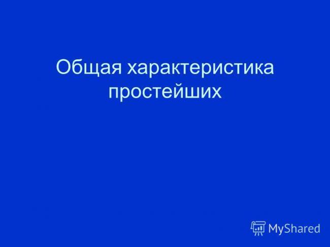 Разница между бактериями и вирусами
