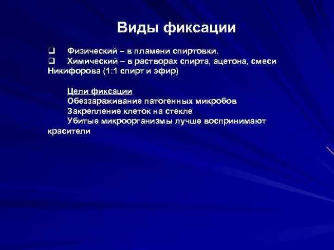 Способы классифицирования бактерий, основанные на изучении их морфологии