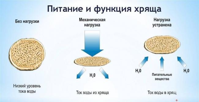 Артелар гель универсальный инструкция по применению