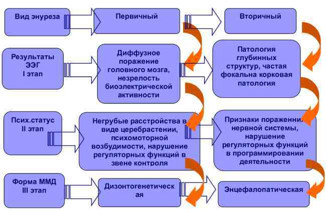 Энурез у детей - симптомы болезни, профилактика и лечение энуреза у детей, причины заболевания и его диагностика на eurolab
