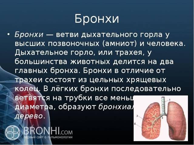 Анализы крови и мочи для диагностики туберкулеза