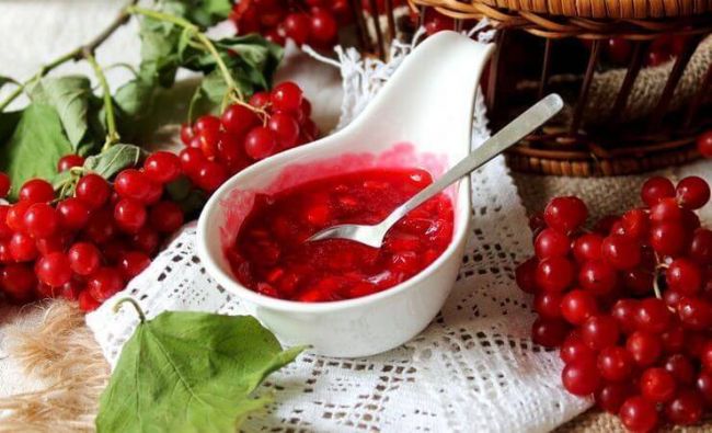 Калина при простуде: руцепты, лечение, помогает ли, для беременных, с медем, красная, как принимать