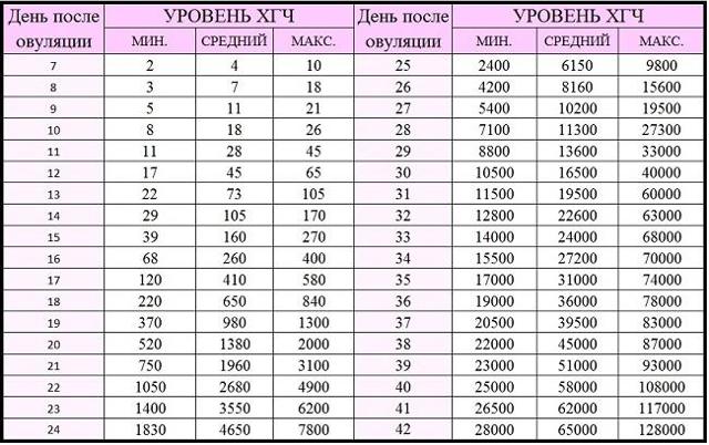 Хгч-анализ при беременности: нормы по неделям и расшифровка