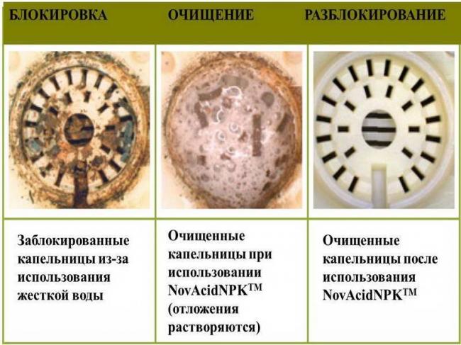 Введите код, указанный на картинке
