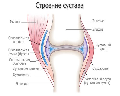 Пигментный ворсинчатый синовит: причины развития, симптомы и специфика лечения