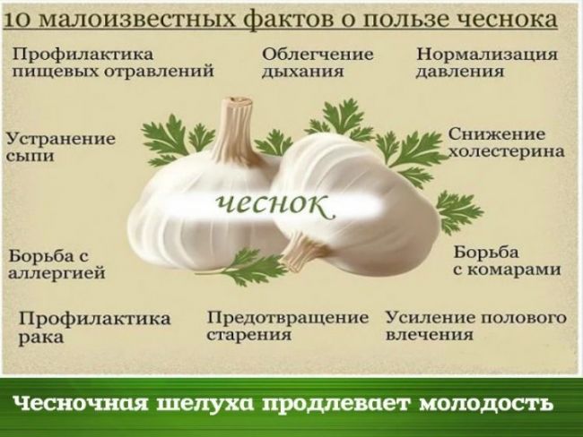Чистка сосудов чесноком с лимоном, медом, имбирем: отзывы, чесночная настойка на спирту, очищение сосудов народными средствами