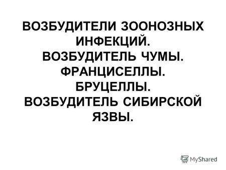 Возбудитель сибирской язвы: характеристика и пути передачи