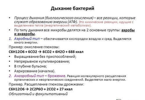 Бактерии для септика обзор, как правильно выбрать, рейтинг, отзывы