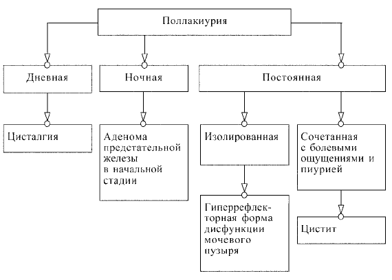 Суточный диурез у взрослых