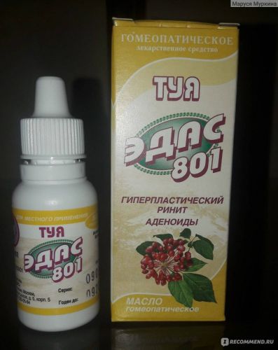 Масло туи для детей и его применение при аденоидите