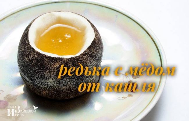 Редька с медом от кашля