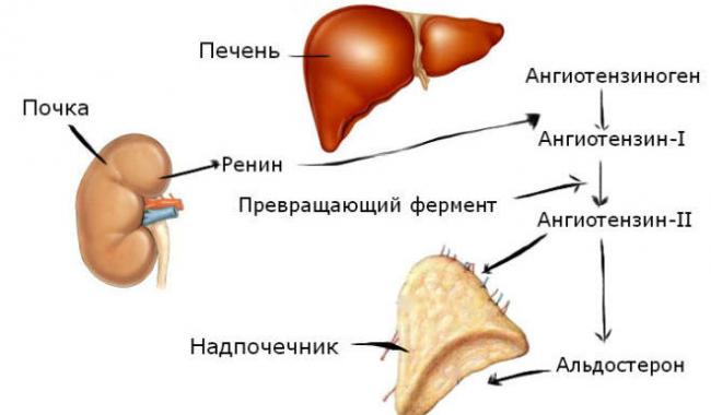 Повышенное давление при беременности