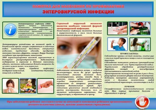 Вирусные заболевания – перечень распространенных недугов и самые опасные вирусы