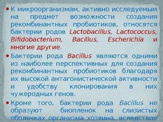 Руководство по грамотному выбору пробиотиков: виды полезных бактерий и их применение