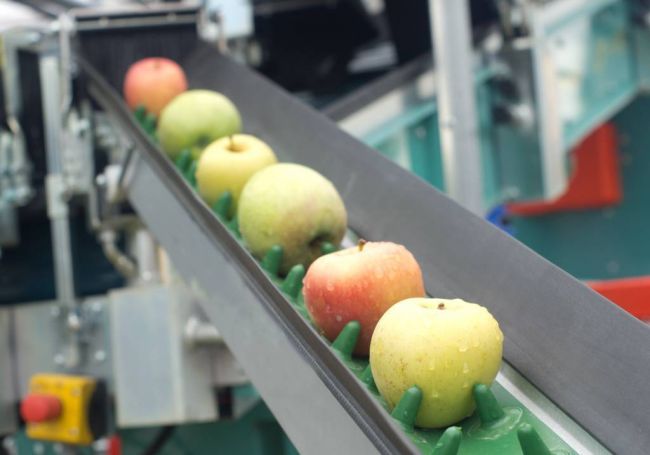 Полезные и не очень бактерии и вещества в продуктах питания :: инфониак