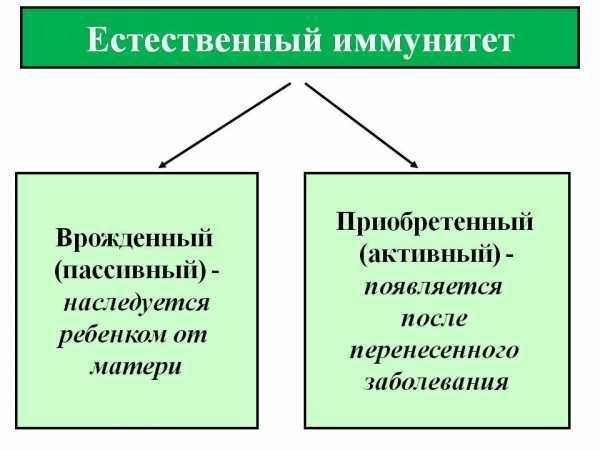 А. врождённый и приобретённый иммунитет