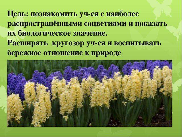 Бактерии – древнейшая группа организмов. общая характеристика бактерий бактерии – самая древняя группа организмов. первые бактерии появились, более 3,5. - презентация