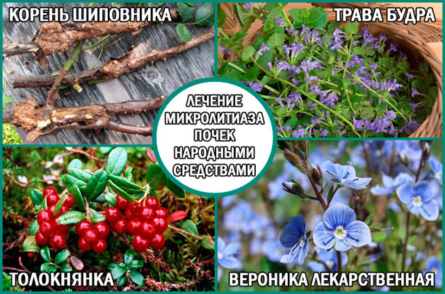 Почему болят почки: возможные патологии, лечение в домашних условиях