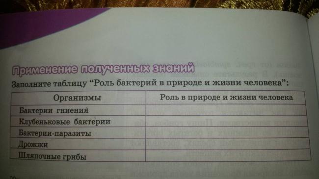 Роль бактерий в природе и жизни человека доклад, сообщение 5, 7 класс